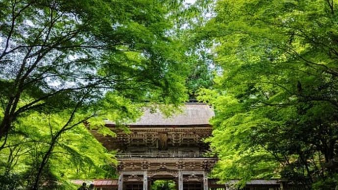 大矢田神社から木曽川水園を巡る