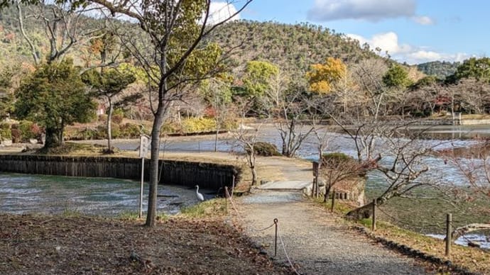 京都・嵯峨野、大覚寺の大沢池（２）