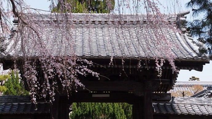 三度目の長誓寺