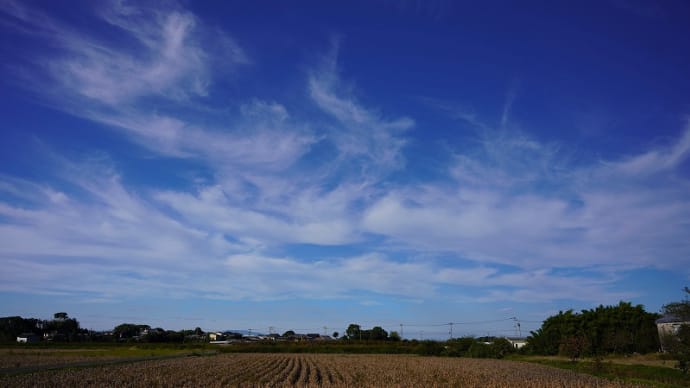 今の時期の空は綺麗に見える　