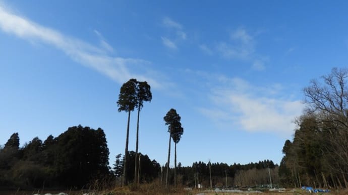 また　虹彩炎　再発・・・