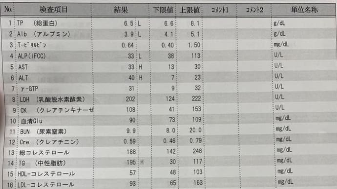 関節リウマチ 2024/03/27