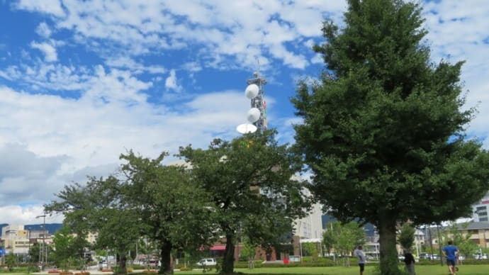 昨日の散歩：「公園巡り、時に神社やお寺」コース！