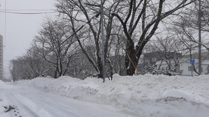 札幌・街の一コマ　：　雪の地層