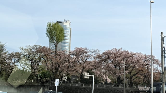 今日の通勤路