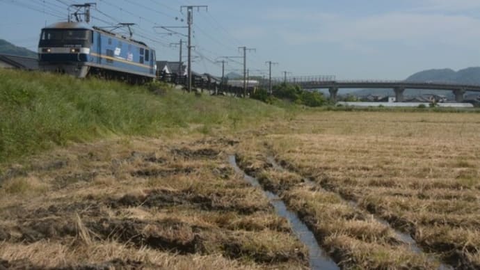 山陽本線EF210形　JR貨物のエース機関車　2024-05-18