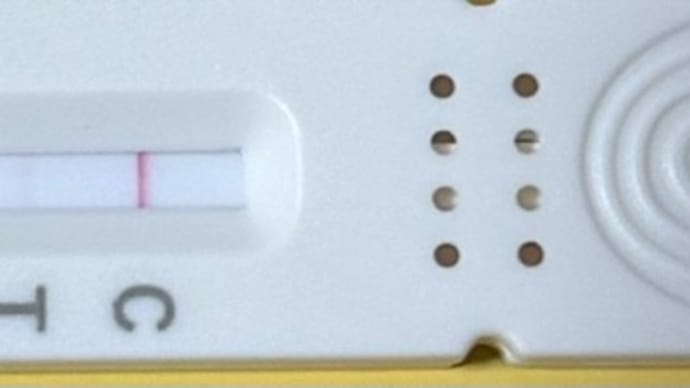 発熱・・・からの三連休の過ごし方