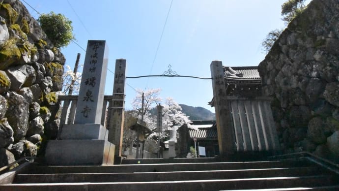 瑞泉寺の超巨大ネットワーク