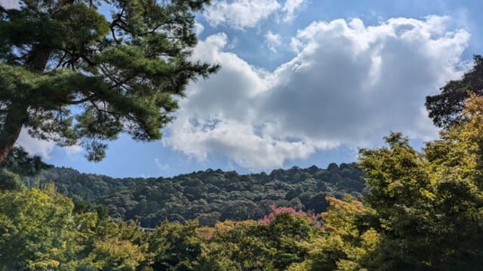 新幹線で行った５泊６日の京都旅行　その６