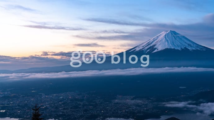 8月の捨て活状況