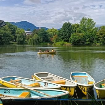 夏詣の花手水めぐり～札幌護国神社＆彌彦（伊夜日子）神社～