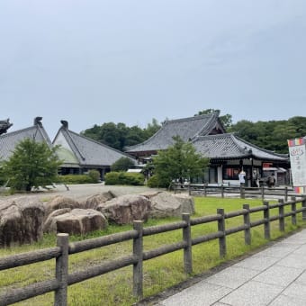 夏本番!!お久しぶりの屋島♪＆土佐鶴酒造 蔵酒生 氷点下貯蔵 ＠西寅