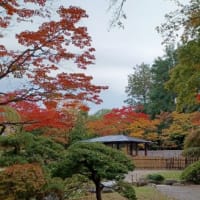 札幌まちなか散歩　晩秋・初冬の街の景色　