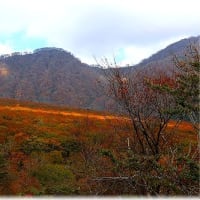 大山の紅葉・・・2024