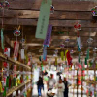 下野市「下野大師華蔵寺」風鈴まつりに行ってきた。