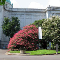 真夏の暑さが残る上野公園は人があふれていた　　その2　　東京国立博物館平成館で神護寺展を観た