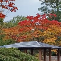 札幌まちなか散歩　晩秋・初冬の街の景色　