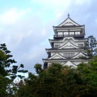 大雨が降った広島県福山市