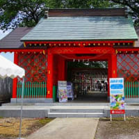 下野市「下野大師華蔵寺」風鈴まつりに行ってきた。