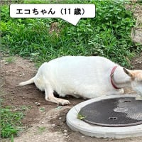 かずさんの街散歩vol.51