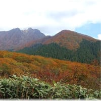 大山の紅葉・・・2024