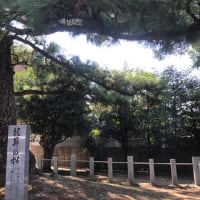 秋祭りプレイベント⛩🙏