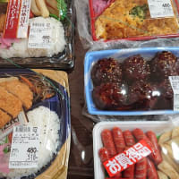 よろず屋「ヒーロー」のお弁当？　～庶民の味方～