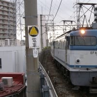 今日の日付ネタ　113 =>EF65-113【八丁畷駅：南武支線】　2005.5.11再掲