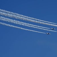 入間航空祭その7 ブルーインパルス