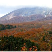 大山の紅葉・・・2024