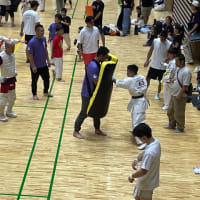 第1回神奈川県フルコンタクト空手道選手権大会結果