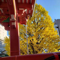 札幌まちなか散歩　晩秋・初冬の街の景色　