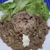 【11/01晩御飯】宮崎黒毛キエフ風ストロガノフ、まずは白いストロガノフにしたんだね：D