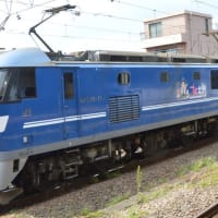 今日の日付ネタ　117＝＞　EF210-117【尻手駅：南武支線】2024.8.19