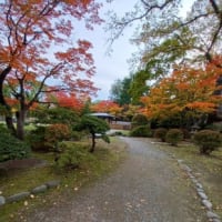 札幌まちなか散歩　晩秋・初冬の街の景色　