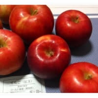 大好きな🍎紅玉🍎