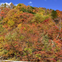 神無月の寒露　【回想】奥裾花渓谷から鬼無里へ