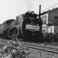 D51-791「さようなら蒸気機関車」【高島線:神奈川県横浜市】 1970.OCT 撮り鉄 車両鉄　過去帳より再々掲