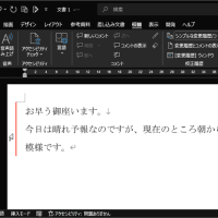 Wordを印刷プレビュー画面で見たら編集画面に無いものが表示されてる…印刷したくない…！？