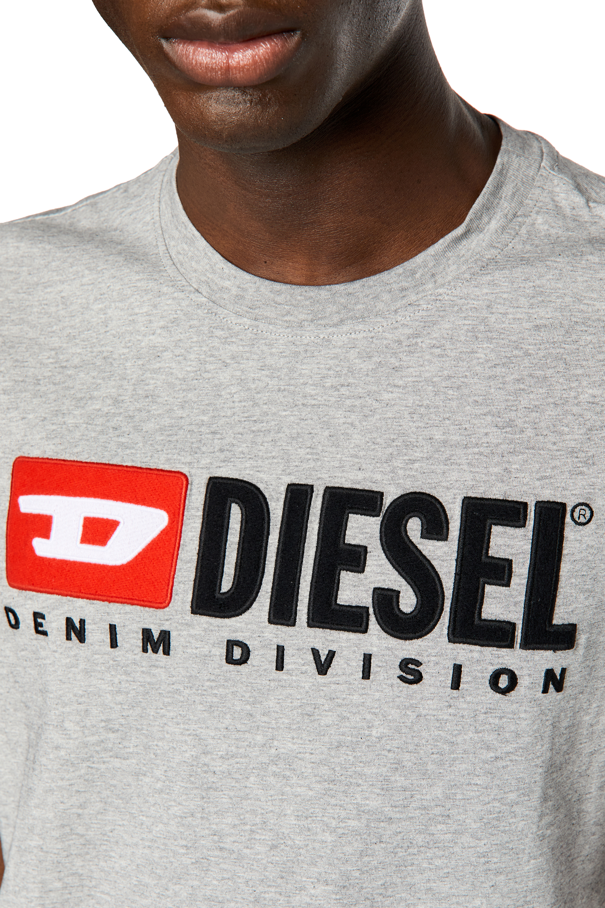 Diesel - T-DIEGOR-DIV, Male T-shirt with embroidered logo in Grey - Image 3