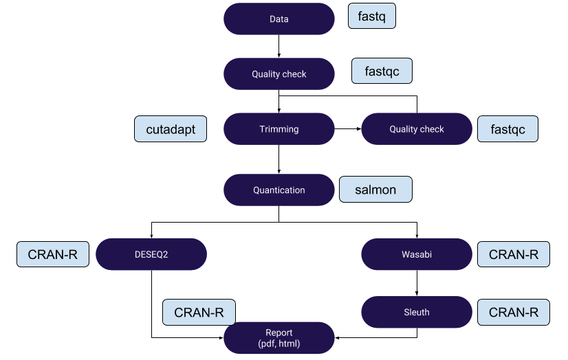 Salmon-DESEQ2 workflow