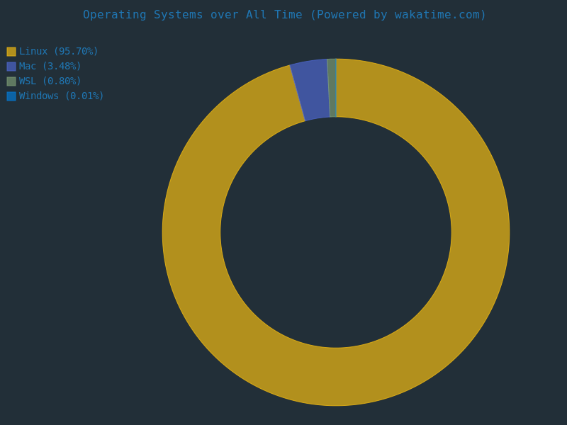 Wakatime Languages