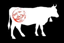 The white shape of a cow on a black background, with a red stamp of Joe Biden's face on its hind leg