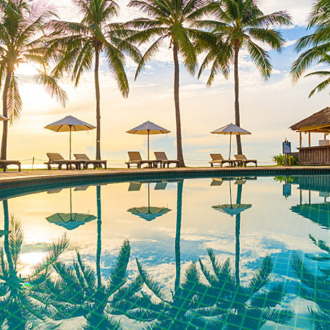 lounge chairs and umbrellas next to palm trees in front of a pool