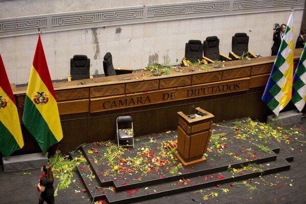 Pétalos de flores cubren la Cámara de Diputados luego de que legisladores que respaldan al expresidente Evo Morales arrojaran flores y agua al vicepresidente boliviano David Choquehuanca, durante la sesión legislativa en la que el actual presidente y vicepresidente debían pronunciar un discurso en el quinto aniversario de su gobierno, en La Paz, Bolivia, el viernes 8 de noviembre de 2024. (Foto AP/Alejandro Mamani Apaza)