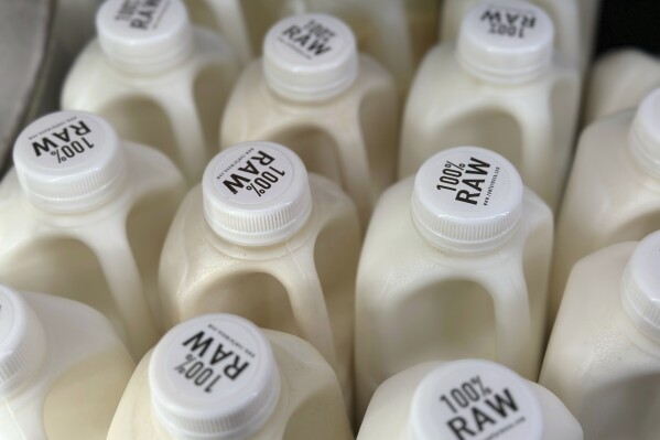 Bottles of raw milk are displayed for sale at a store in Temecula, Calif., on Wednesday, May 8, 2024. (AP Photo/JoNel Aleccia)