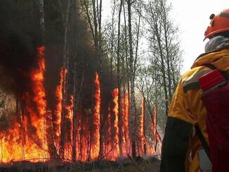 wildfire northern Russia