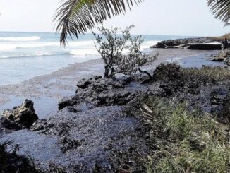 oily beach Tobago