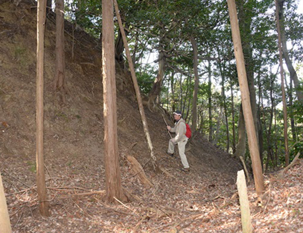 ふくいの山城へいざ！ 画像