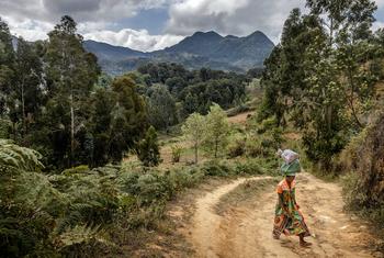 A woman carries goods through Uluguru Nature Forest Reserve in Morogoro, Tanzania.